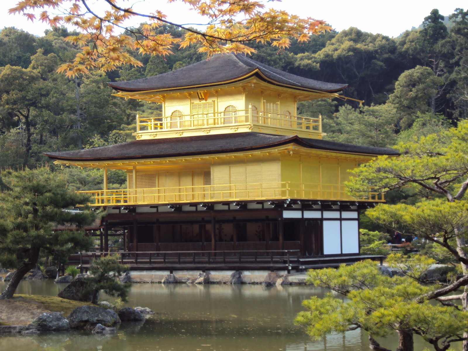Templo Dourado Kinkakuji 金閣寺 Meu Mundo Em Que Amo